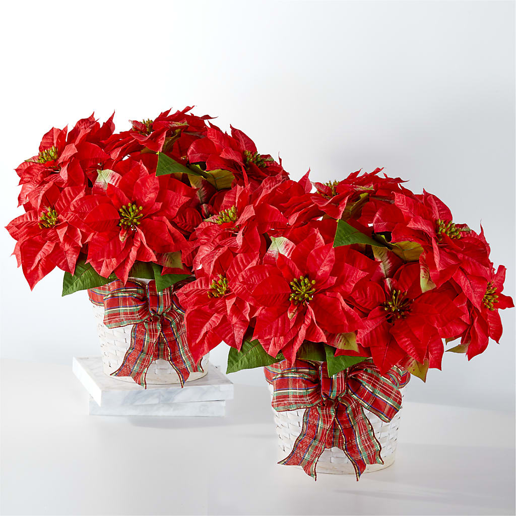 Happiest Holidays Poinsettia Bundle – Touch Of Roses Inc, Visalia CA