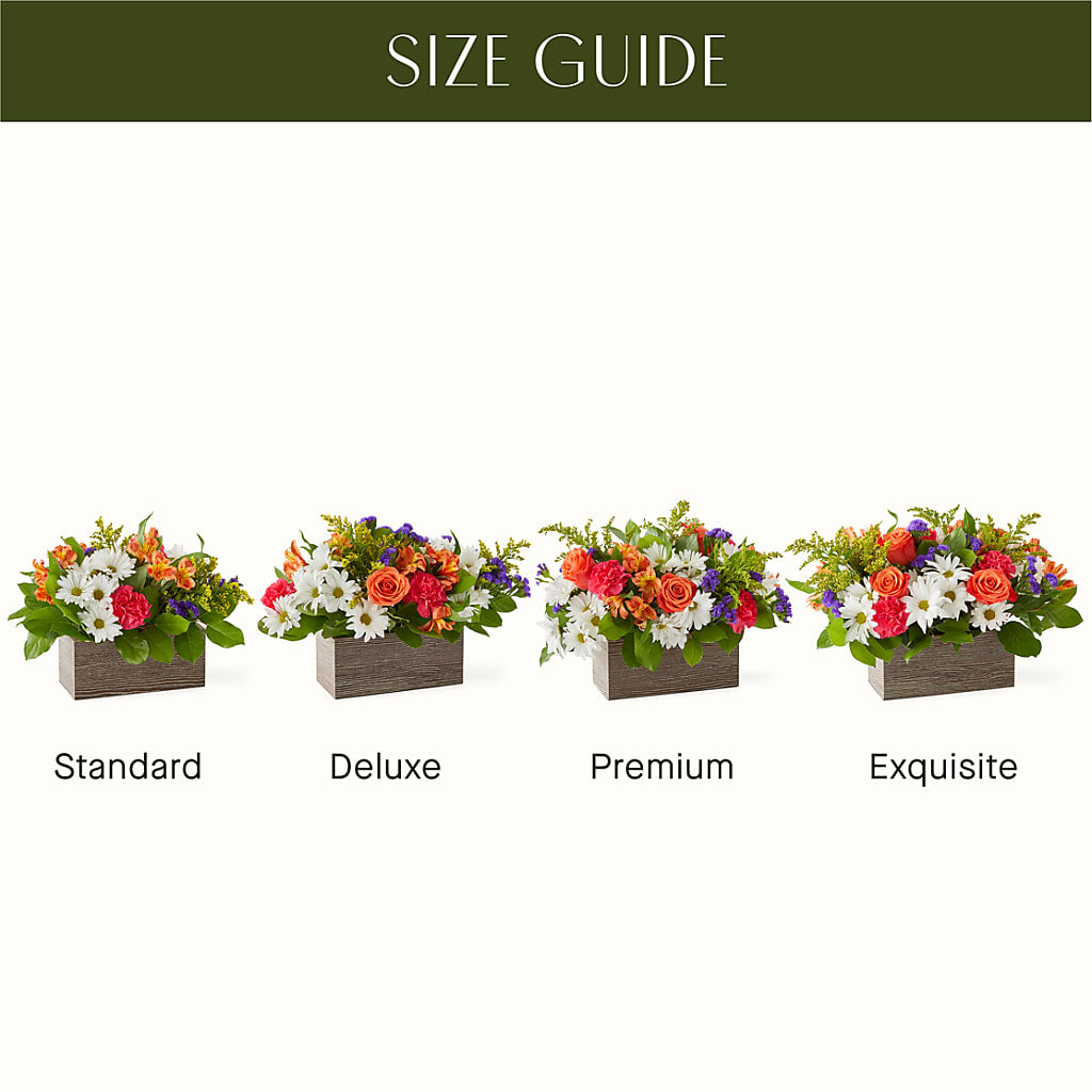 Oopsie Daisy Box Bouquet – Touch Of Roses, Visalia CA