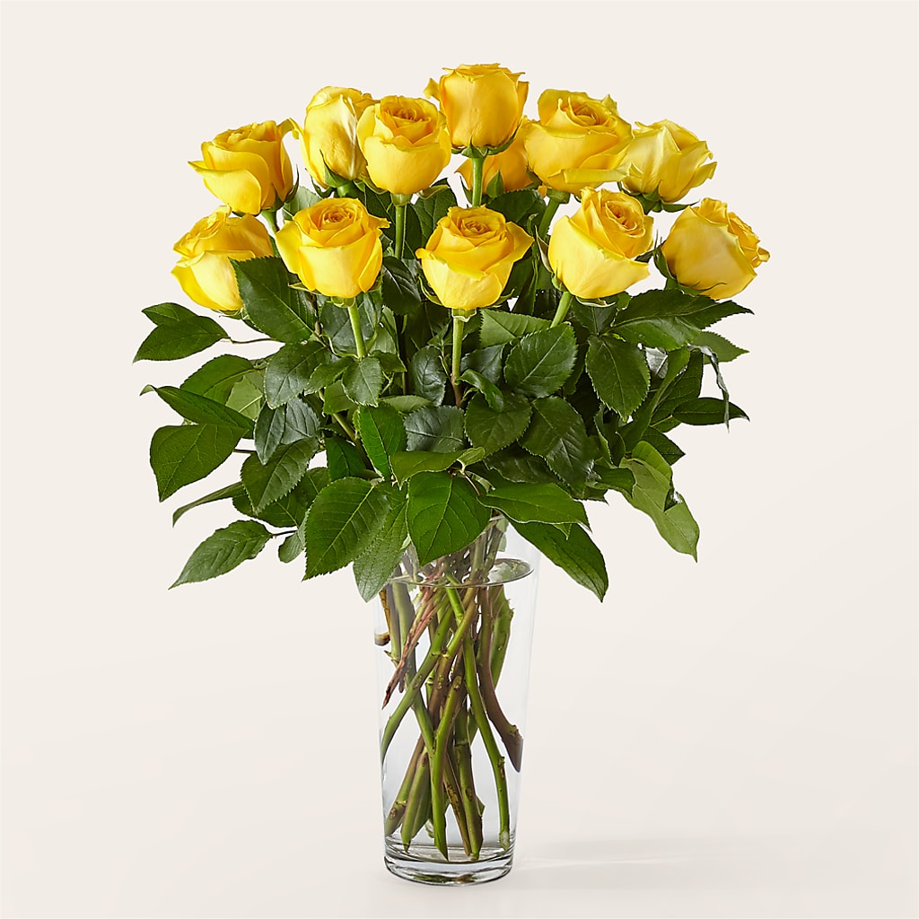 Long Stem Yellow Rose Bouquet – Touch Of Roses INC, Visalia CA
