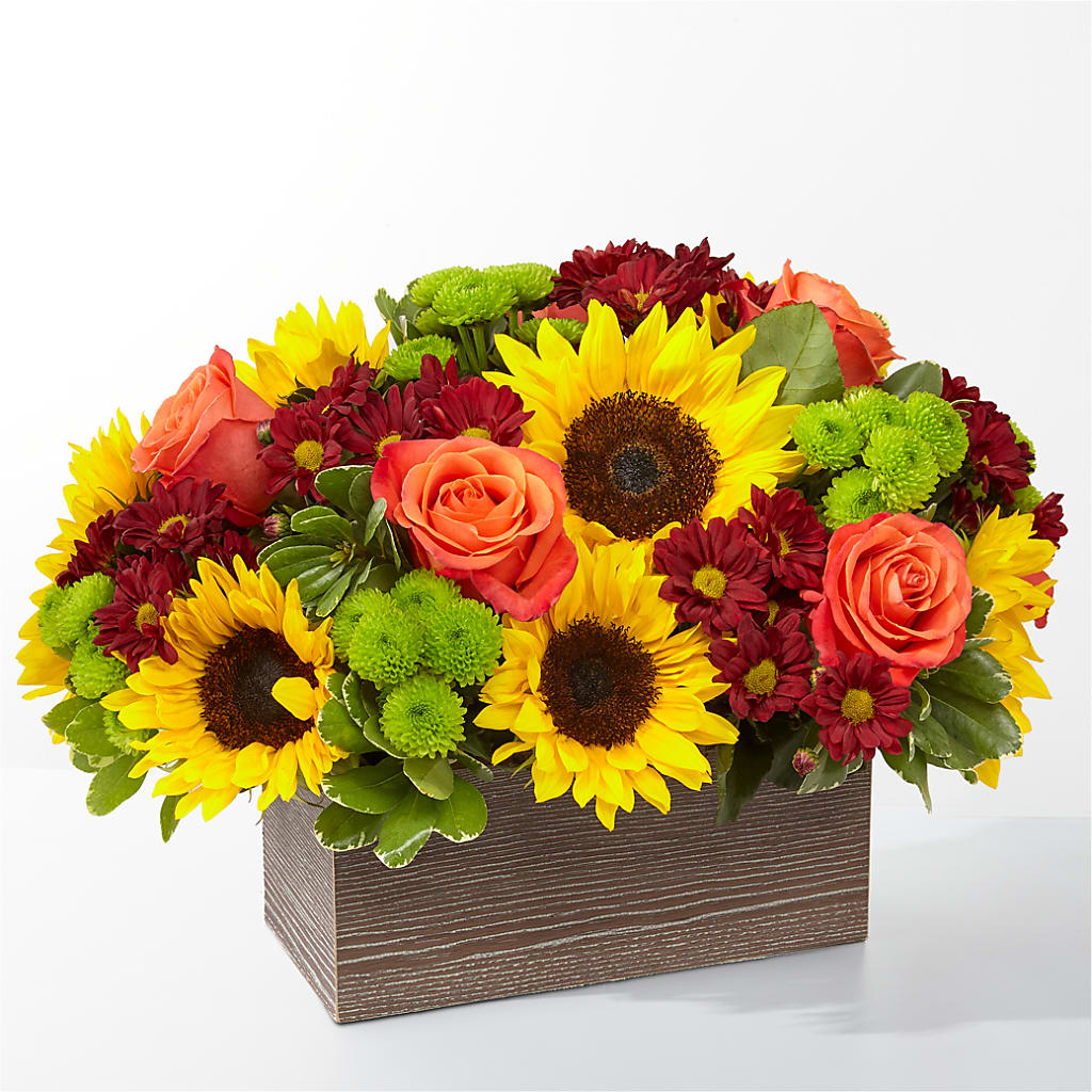 Happy Harvest Garden – Touch Of Roses Inc, Visalia CA