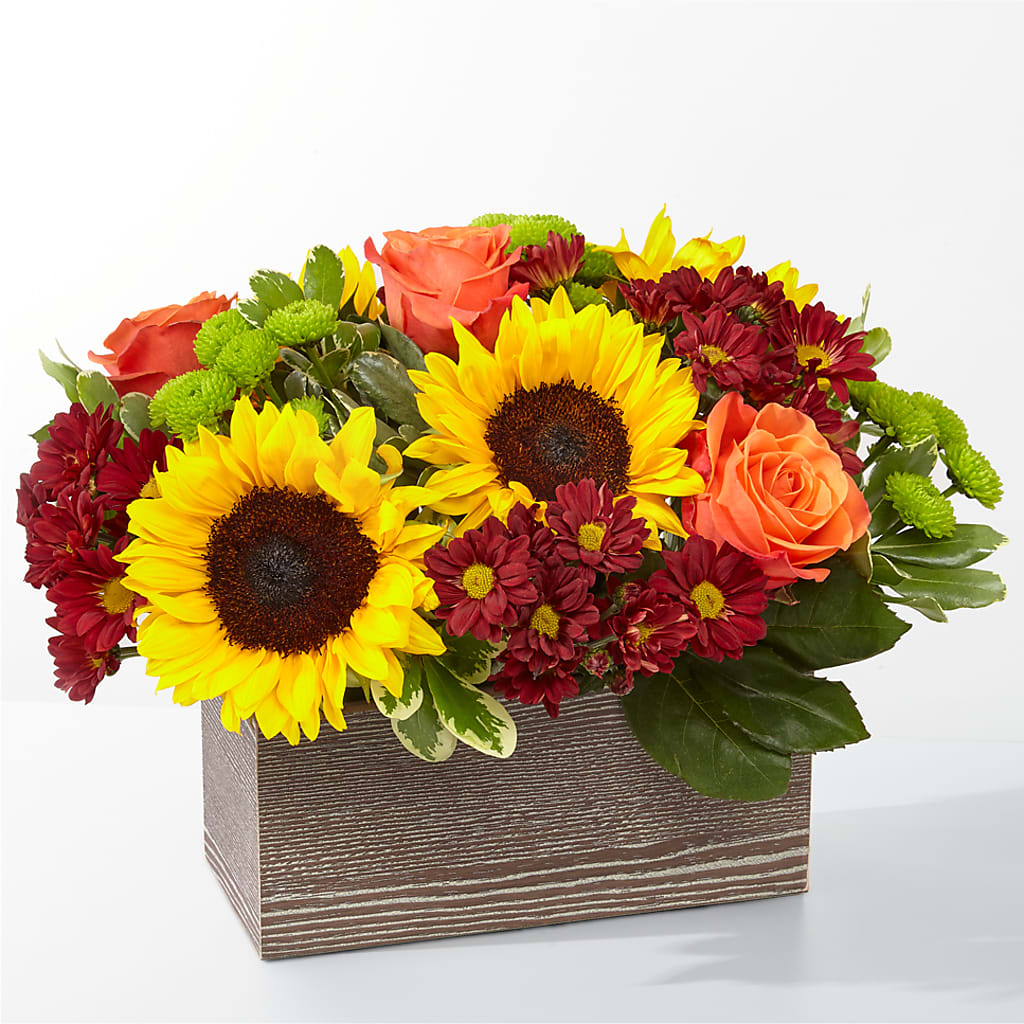 Happy Harvest Garden – Touch Of Roses INC, Visalia CA