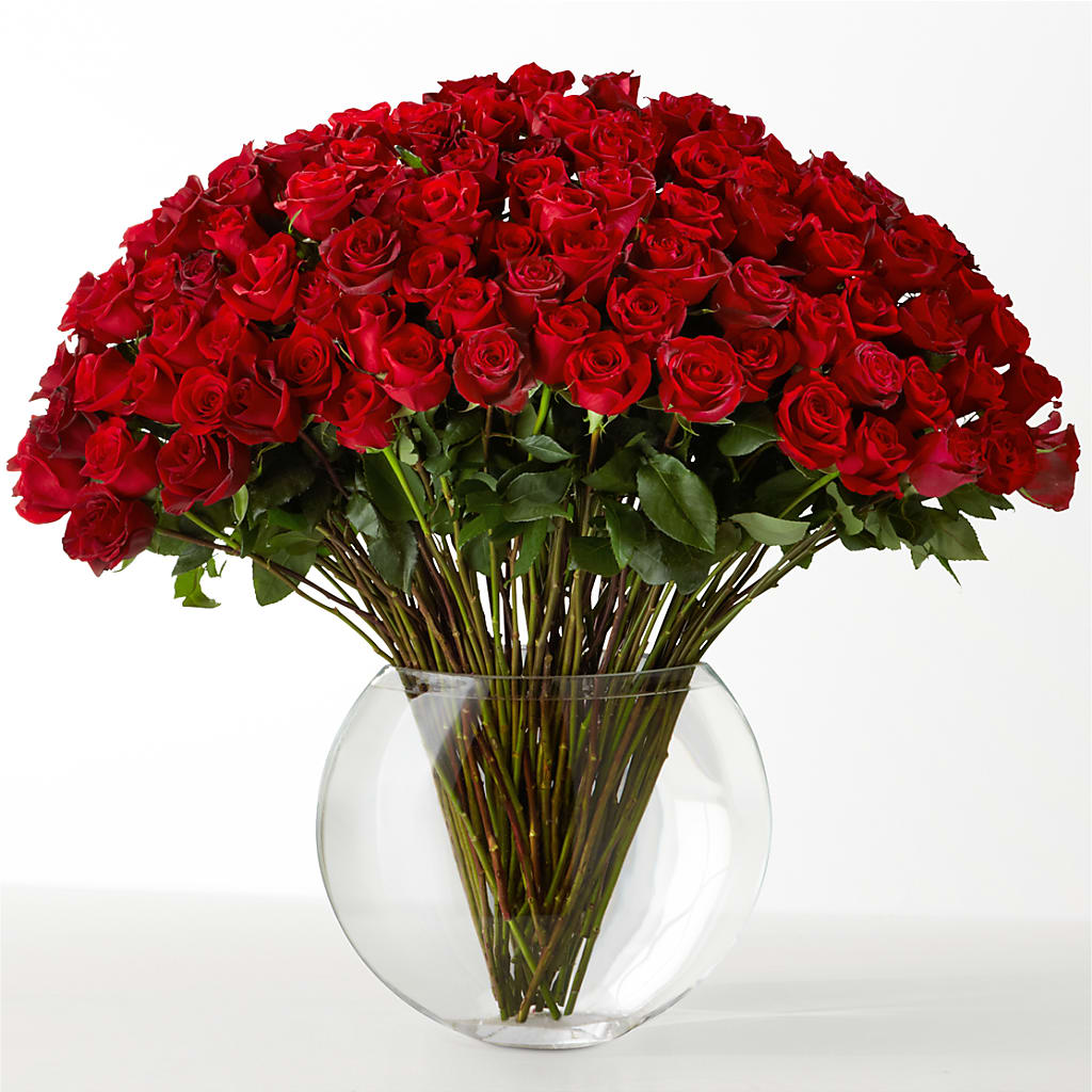 The Idealist – Touch Of Roses Inc, Visalia CA