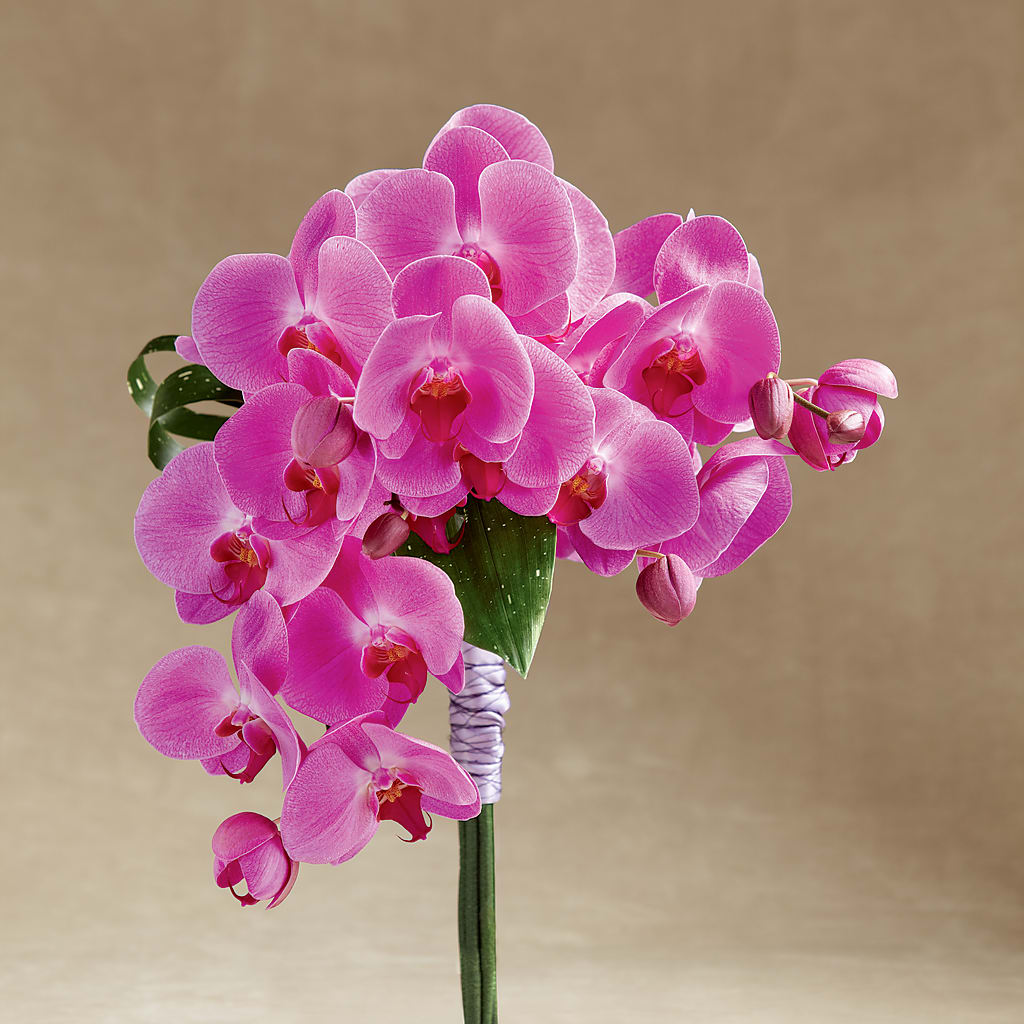Glorious Bouquet – Touch Of Roses Inc, Visalia CA