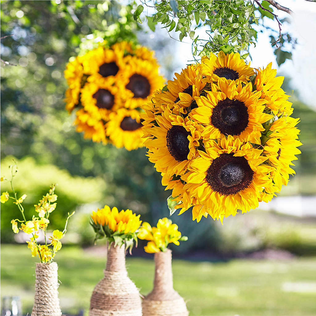 Sublime Garden Hanging Arrangement – Touch Of Roses Inc, Visalia CA