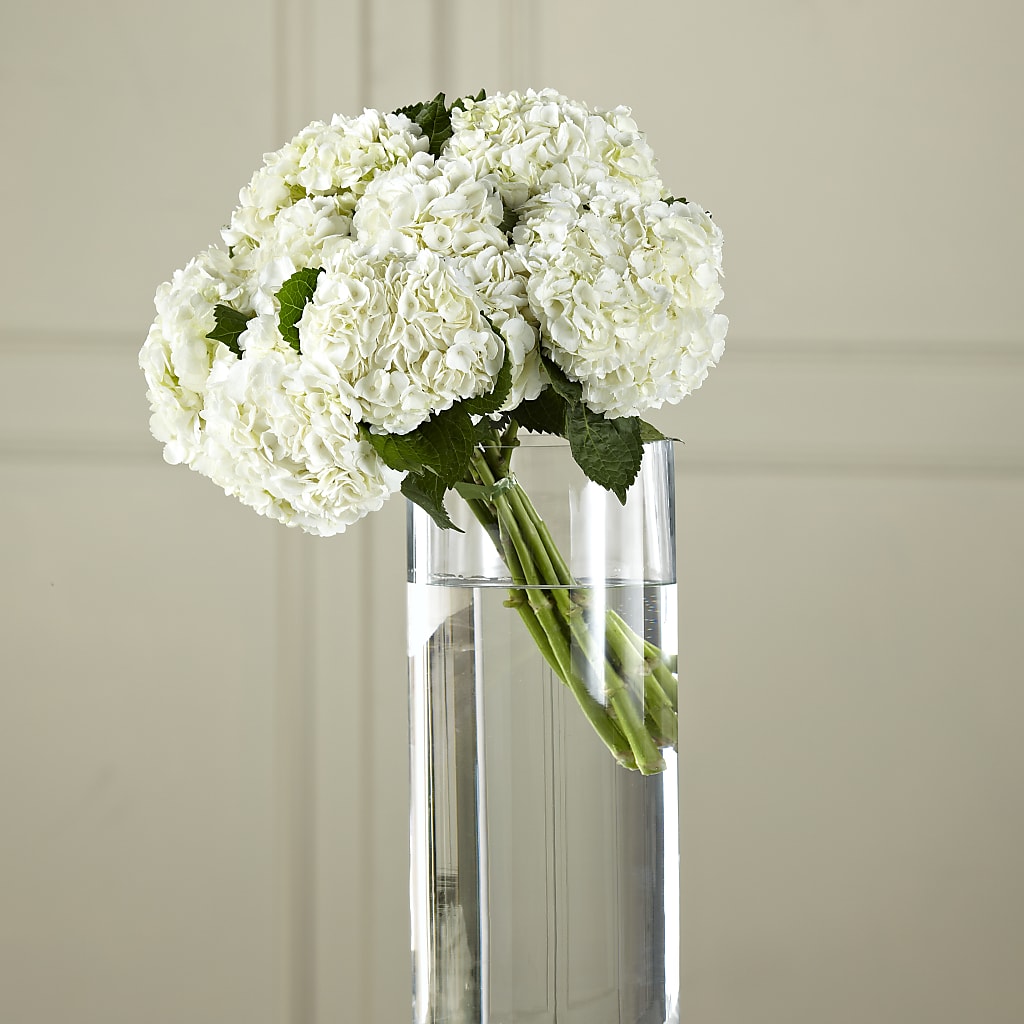 White Hydrangea Hand-Tied Bouquet – Touch Of Roses Inc, Visalia CA