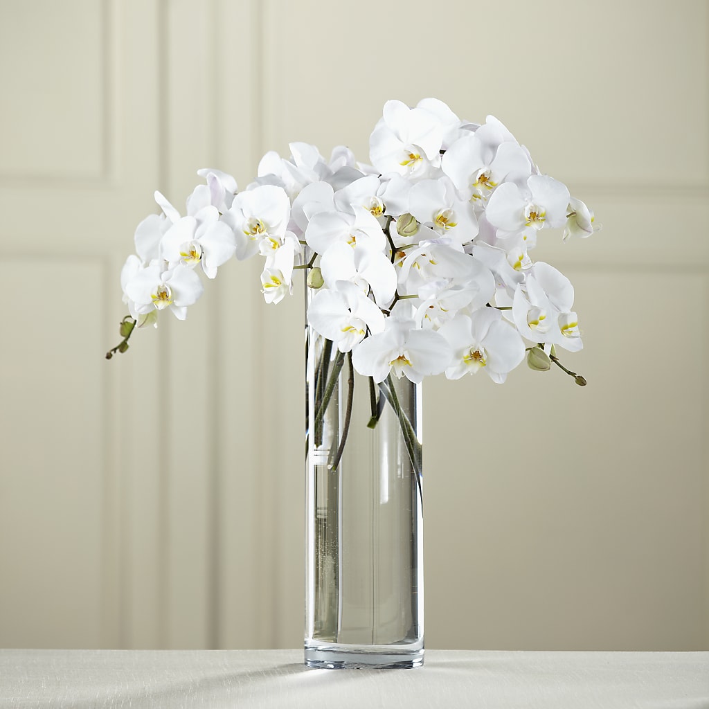 White Phalaenopsis Bouquet – Touch Of Roses Inc, Visalia CA