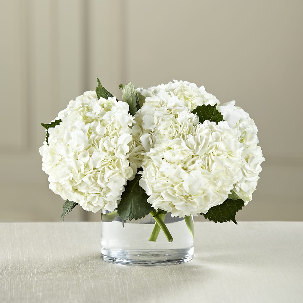 White Hydrangea Bouquet – Touch Of Roses Inc, Visalia CA