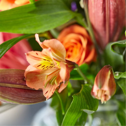 Bold & Bright – A Florist Original –  Touch Of Roses, Visalia CA