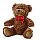 Adorable Plush Bear –  Touch Of Roses INC, Visalia CA