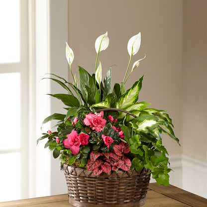 Dream in Pink Dishgarden –  Touch Of Roses INC, Visalia CA
