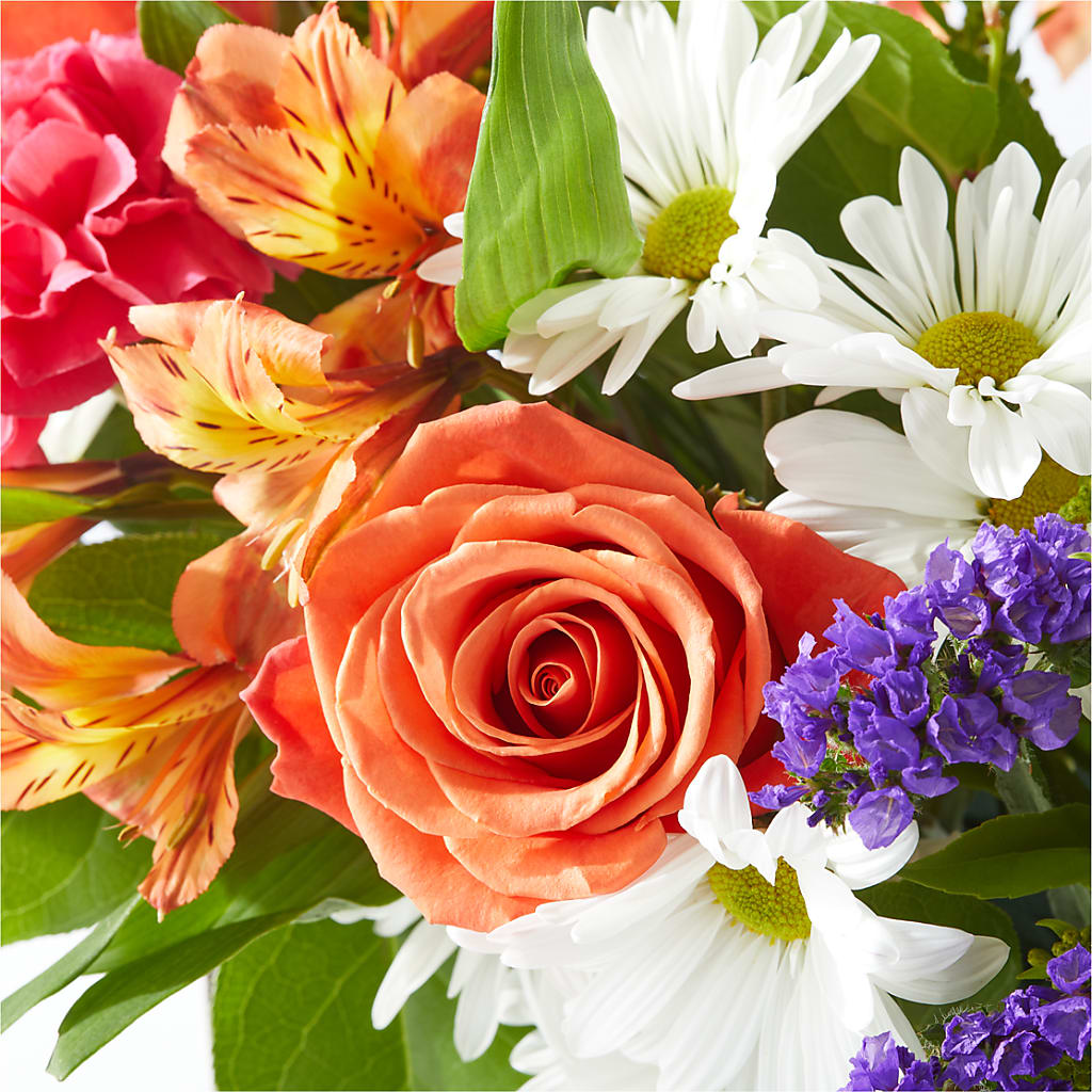 Oopsie Daisy Box Bouquet –  Touch Of Roses, Visalia CA