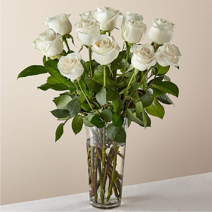 Long Stem White Rose Bouquet –  Touch Of Roses, Visalia CA