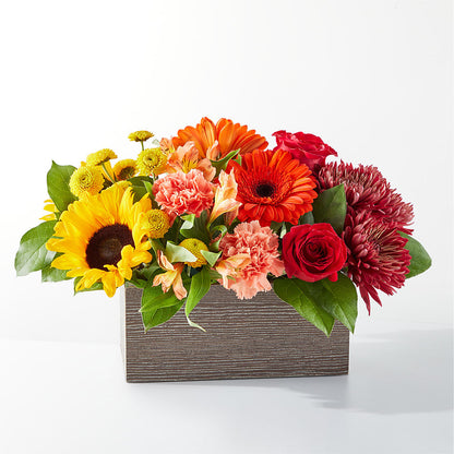 Autumn Orchard Bouquet –  Touch Of Roses Inc, Visalia CA