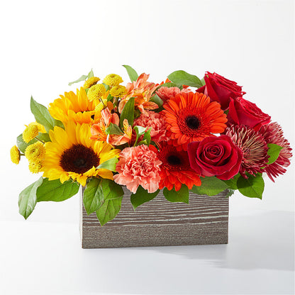 Autumn Orchard Bouquet –  Touch Of Roses Inc, Visalia CA