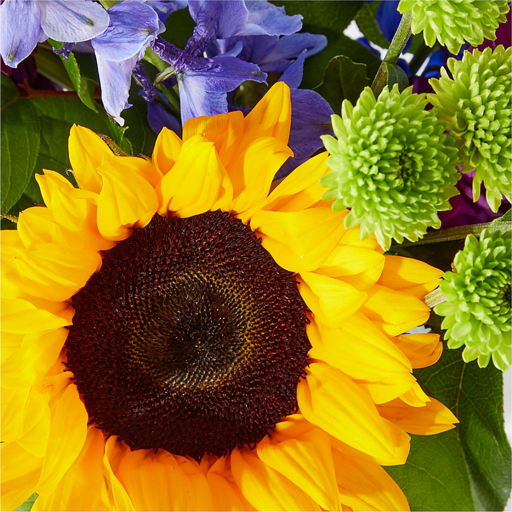 Catching Rays Bouquet –  Touch Of Roses, Visalia CA
