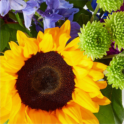 Catching Rays Bouquet –  Touch Of Roses, Visalia CA