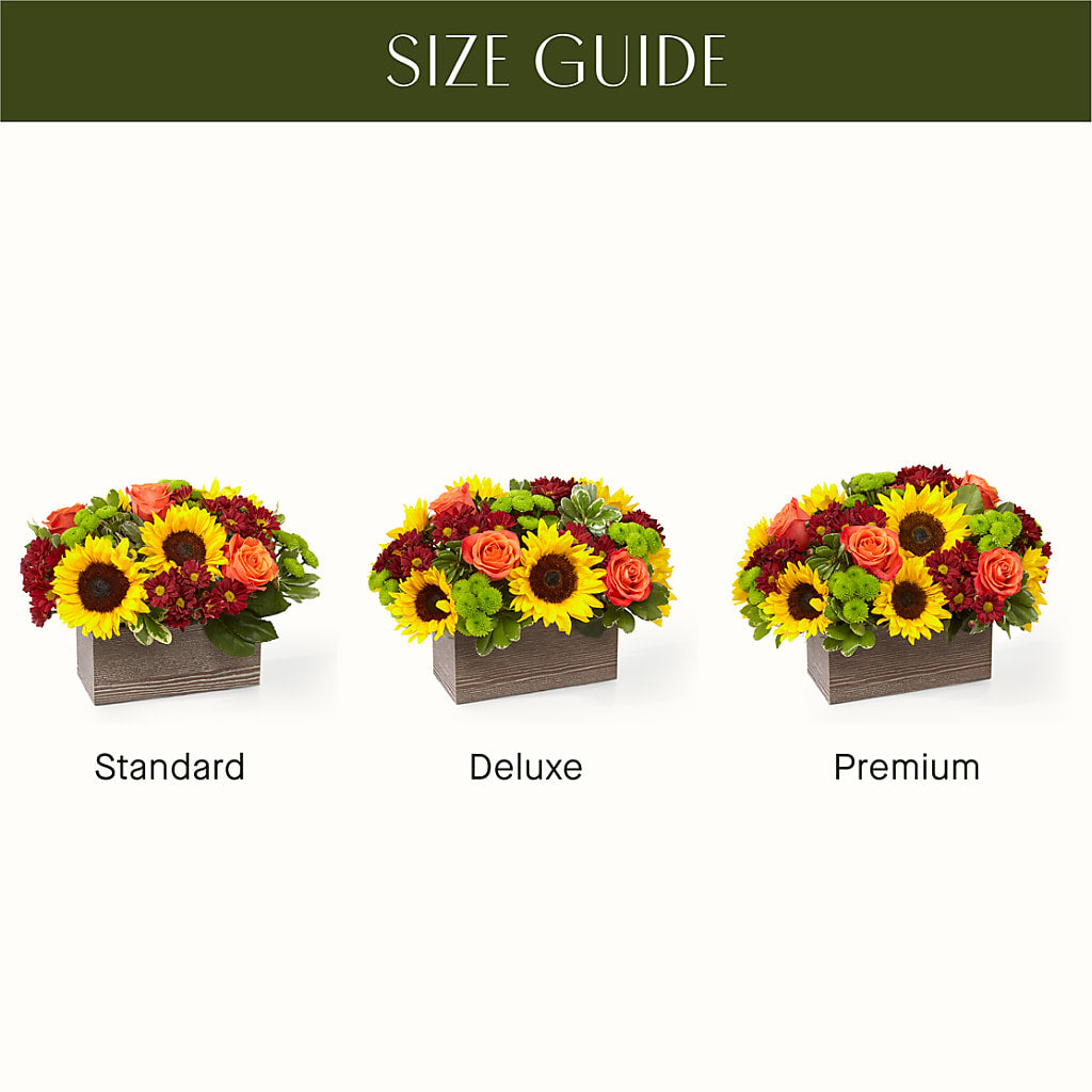 Happy Harvest Garden –  Touch Of Roses, Visalia CA