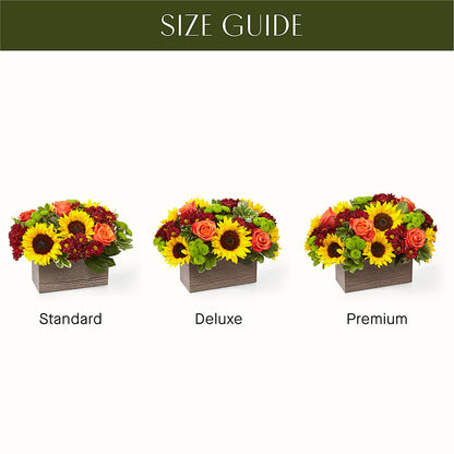 Happy Harvest Garden –  Touch Of Roses, Visalia CA
