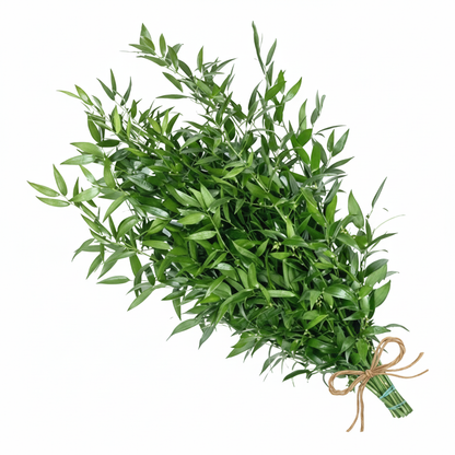 Ruscus Italian - Bulk –  Touch Of Roses INC, Visalia CA