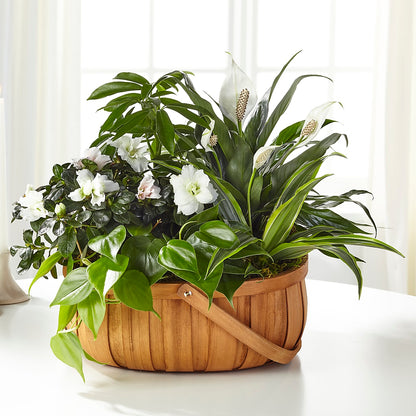 Serene Dishgarden –  Touch Of Roses INC, Visalia CA