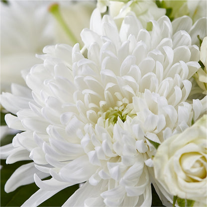 Classic Ivory – A Florist Original –  Touch Of Roses, Visalia CA