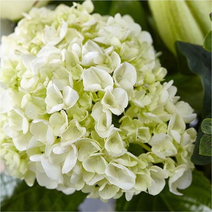 Classic Ivory – A Florist Original –  Touch Of Roses, Visalia CA