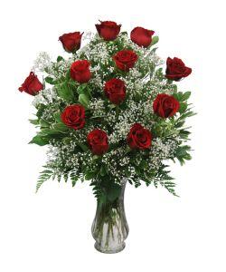 1 Dozen Radiant Rose Arrangement