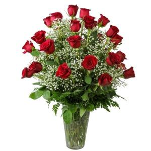 2 Dozen Radiant Roses Arrangement