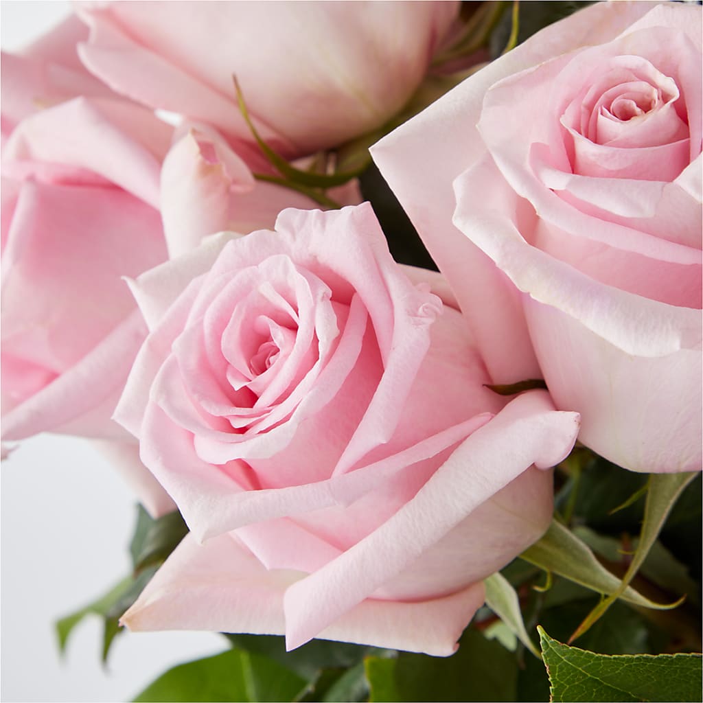 Picture Perfect Pink Rose Bouquet –  Touch Of Roses, Visalia CA