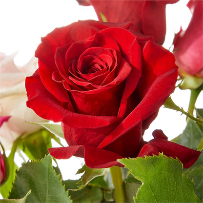 Love Notes Rose Bouquet –  Touch Of Roses, Visalia CA