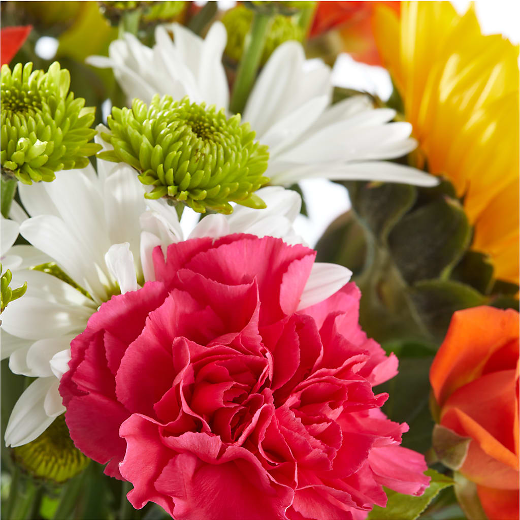 Sun-drenched Blooms Bouquet –  Touch Of Roses, Visalia CA