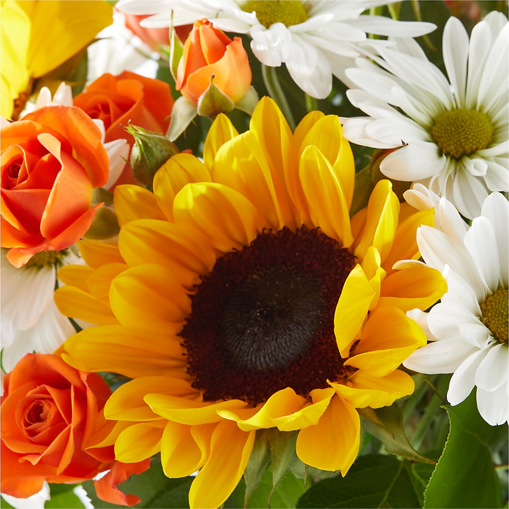 Sun-drenched Blooms Bouquet –  Touch Of Roses, Visalia CA