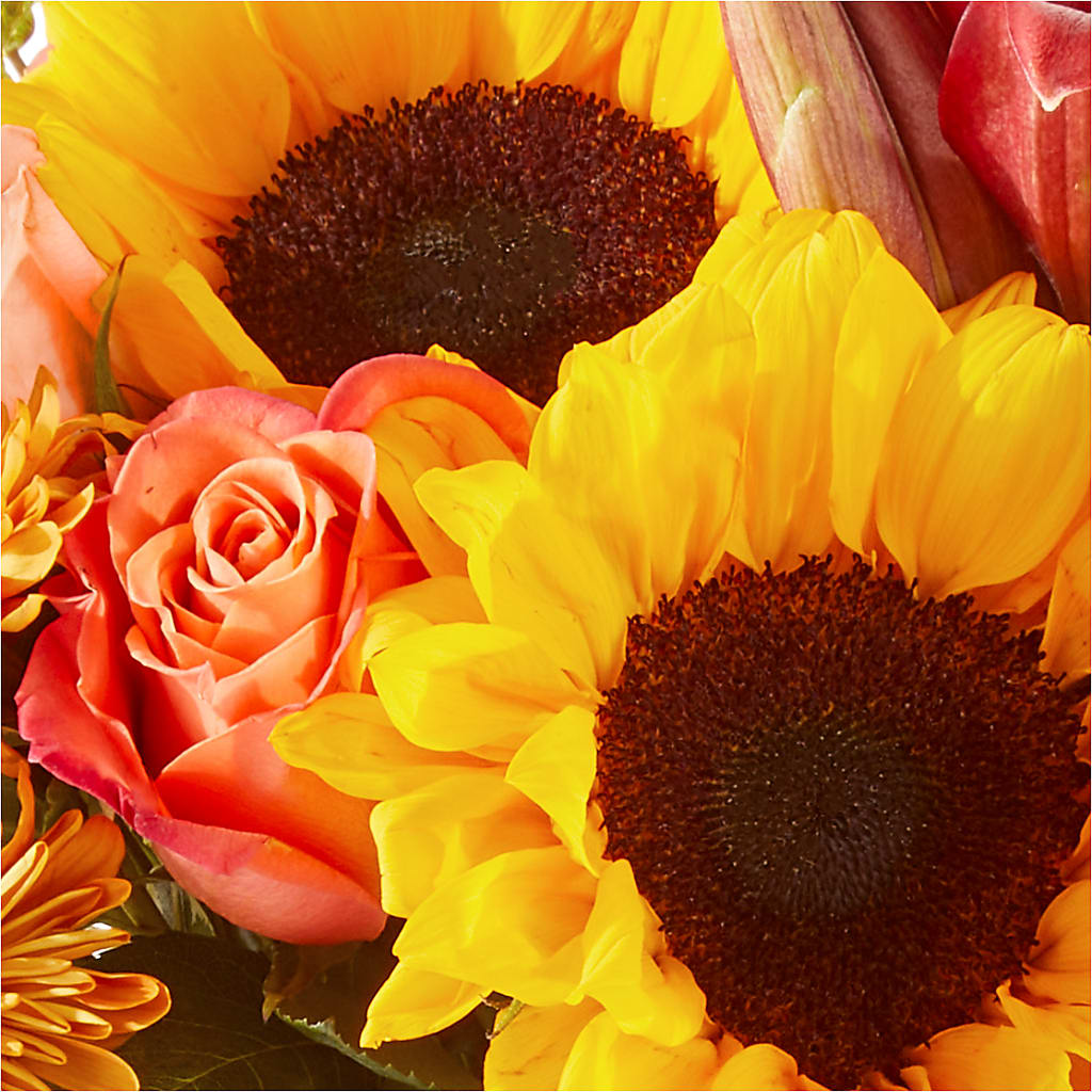 Acorn Lane Bouquet –  Touch Of Roses, Visalia CA