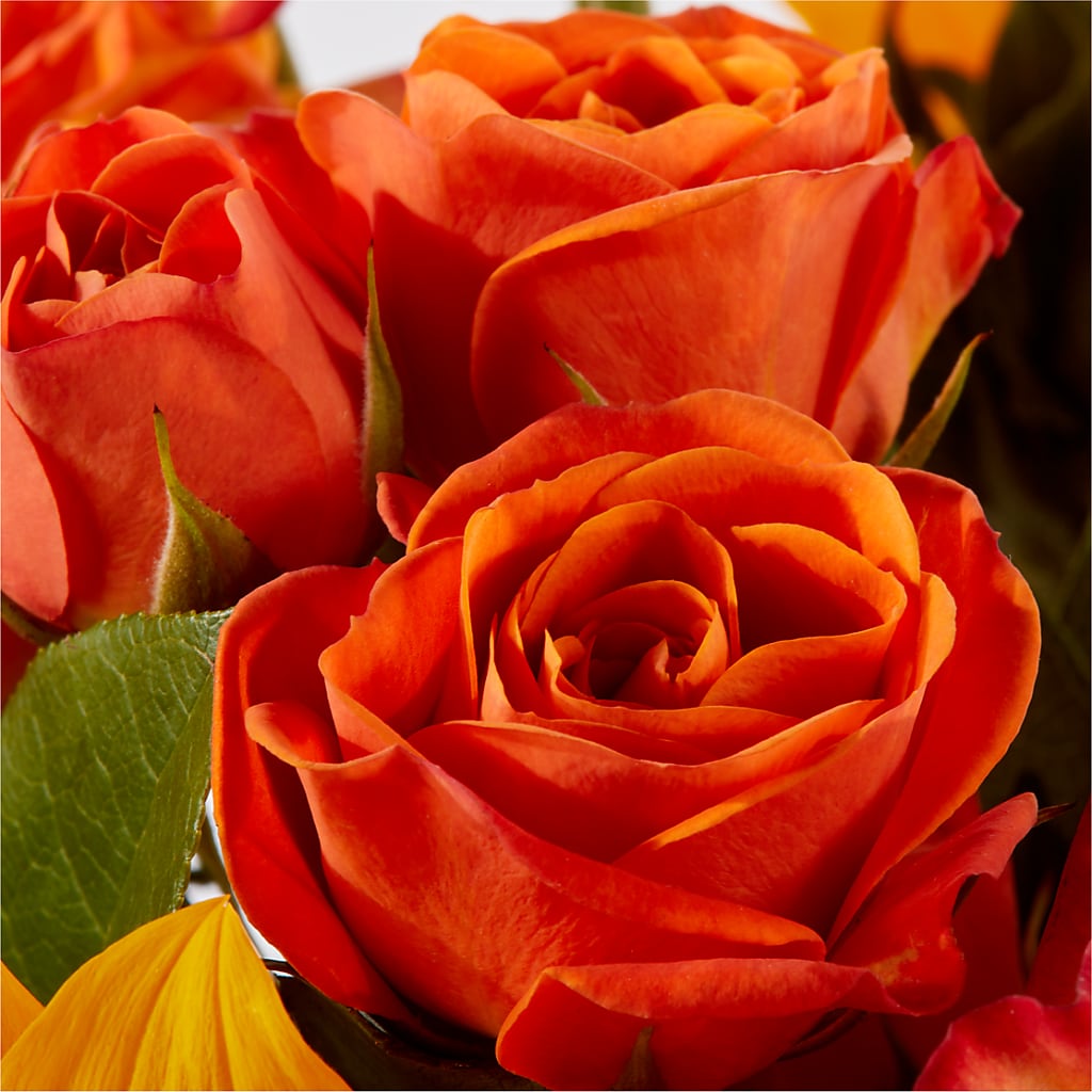 Picnic in the Park Bouquet –  Touch Of Roses, Visalia CA