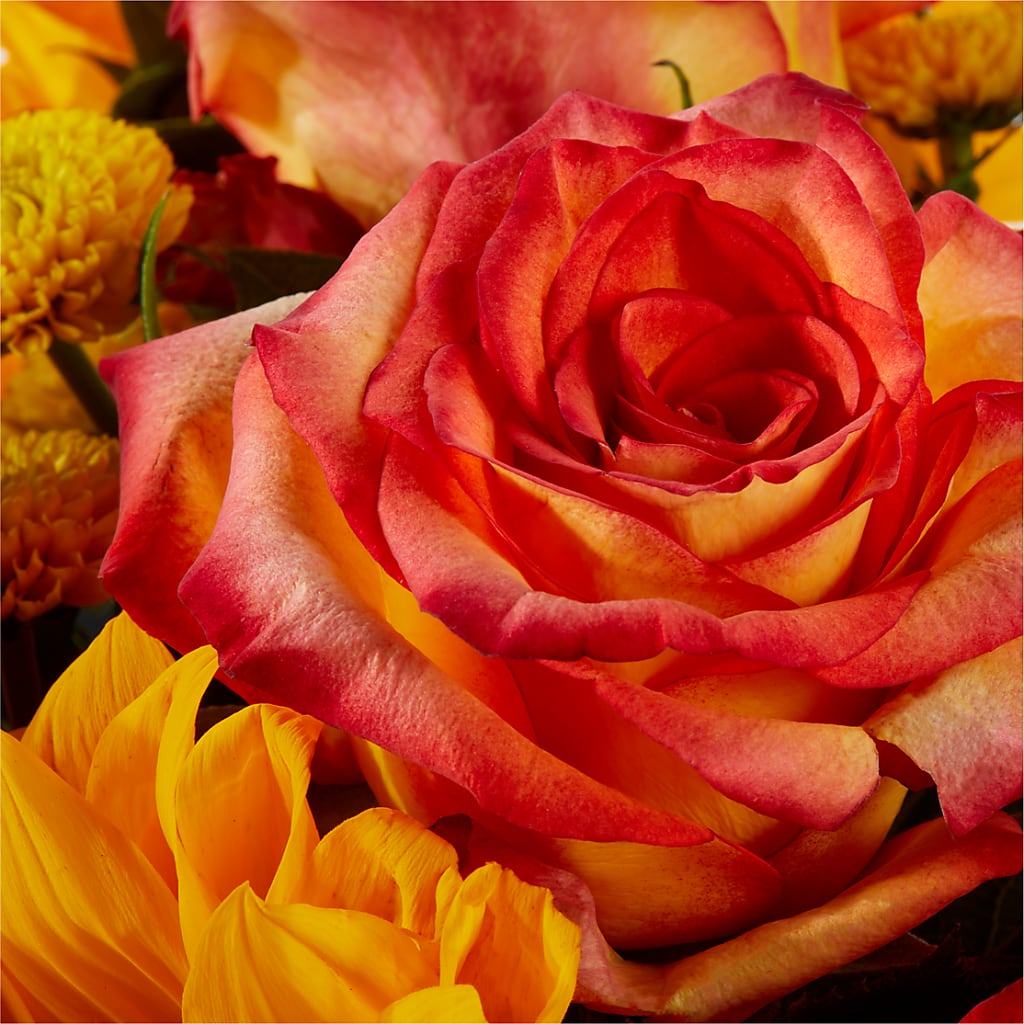 Picnic in the Park Bouquet –  Touch Of Roses, Visalia CA