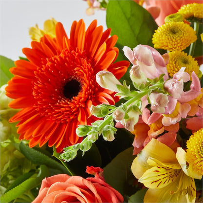 Autumn Sunshine Bouquet –  Touch Of Roses, Visalia CA