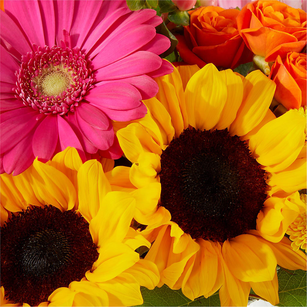Beach Day Bouquet –  Touch Of Roses, Visalia CA