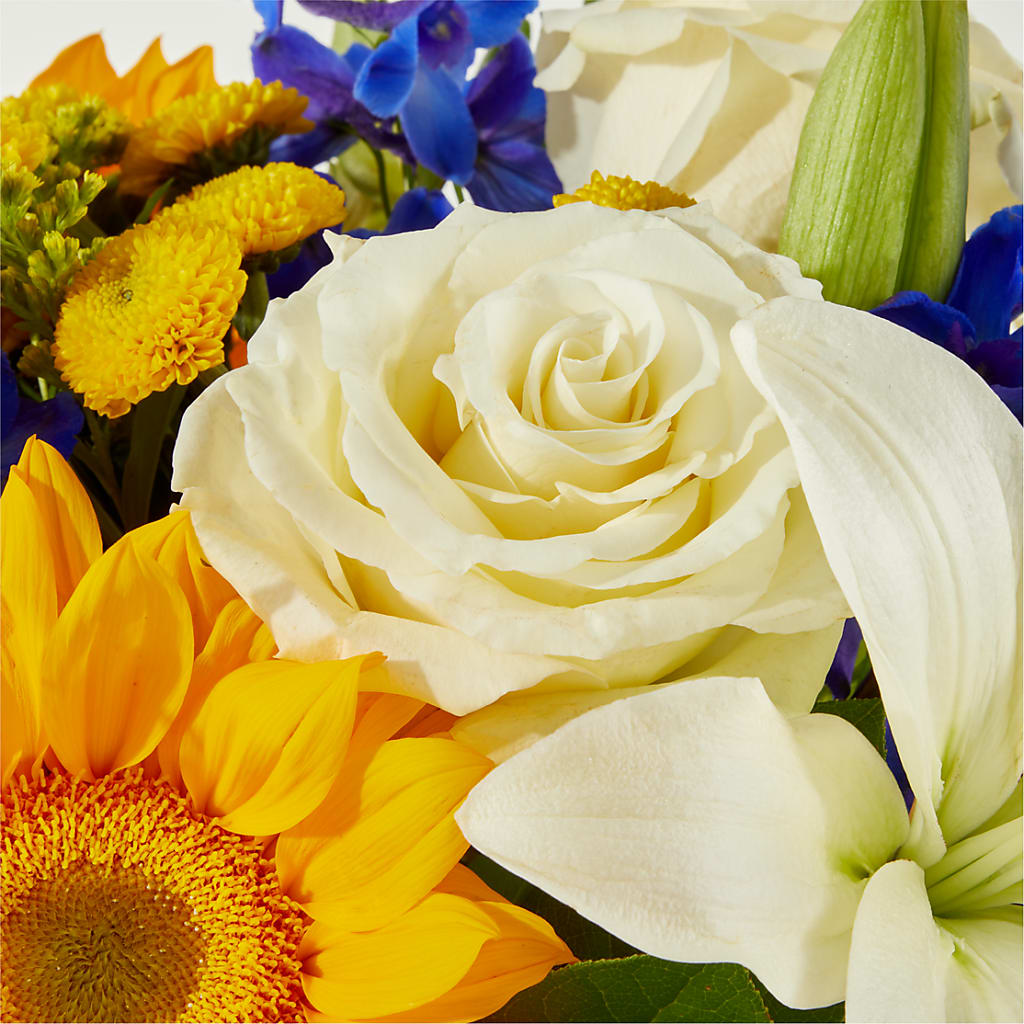 Stargazing Bouquet –  Touch Of Roses, Visalia CA