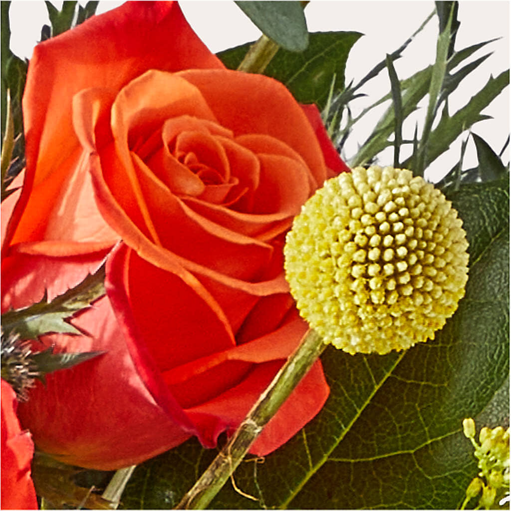 Disco Bouquet –  Touch Of Roses, Visalia CA