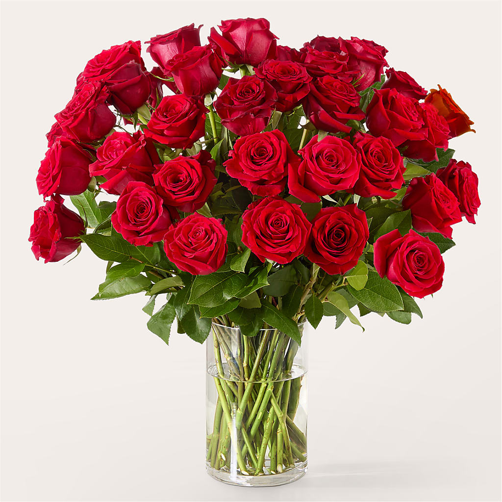 The One Red Rose Bouquet –  Touch Of Roses Inc, Visalia CA
