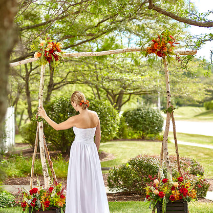 Arbor of Love Archway –  Touch Of Roses INC, Visalia CA