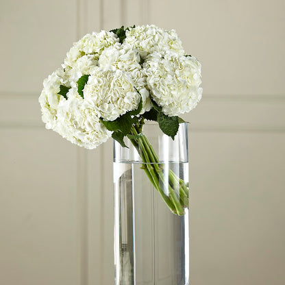 White Hydrangea Hand-Tied Bouquet –  Touch Of Roses INC, Visalia CA