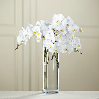 White Phalaenopsis Bouquet –  Touch Of Roses INC, Visalia CA