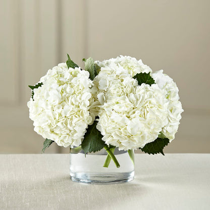 White Hydrangea Bouquet –  Touch Of Roses INC, Visalia CA